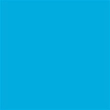 Shop Savage Widetone Seamless Background Paper ( Blue Jay 107" x 36) by Savage at B&C Camera