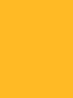 Shop Savage Widetone Seamless Background Paper (Deep Yellow, 53" x 36') by Savage at B&C Camera