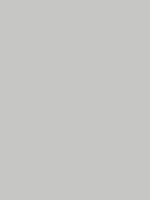 Shop Savage Widetone Seamless Background Paper (Gray Tint, 53" x 36) by Savage at B&C Camera