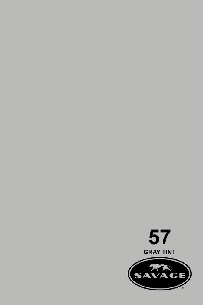 Shop Savage Widetone Seamless Background Paper (Gray Tint 86” x 12yd) by Savage at B&C Camera