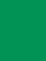Shop Savage Widetone Seamless Background Paper (Holly, 53" x 36') by Savage at B&C Camera