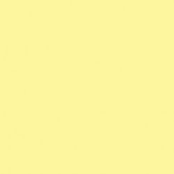 Shop Savage Widetone Seamless Background Paper (Lemonade, 53" x 36) by Savage at B&C Camera