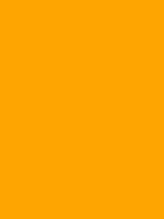 Shop Savage Widetone Seamless Background Paper (Marmalade, 53" x 36') by Savage at B&C Camera
