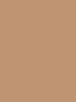Shop Savage Widetone Seamless Background Paper (Mocha, 53" x 36) by Savage at B&C Camera