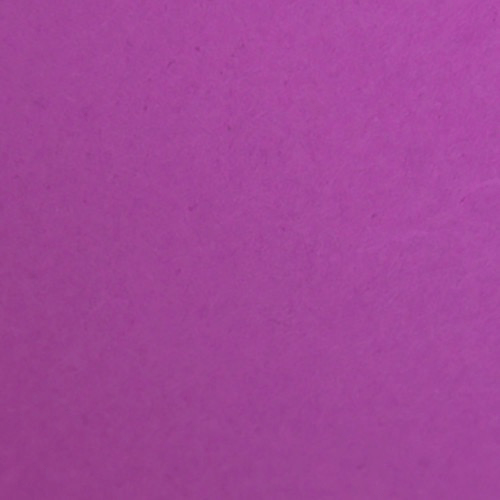 Shop Savage Widetone Seamless Background Paper (Plum, 107" x 36) by Savage at B&C Camera