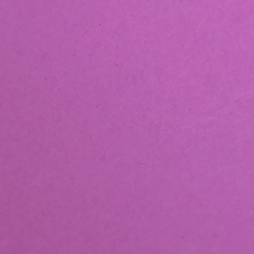 Shop Savage Widetone Seamless Background Paper (Plum, 53" x 36') by Savage at B&C Camera