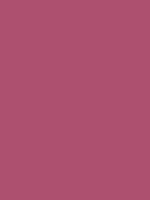 Shop Savage Widetone Seamless Background Paper (Ruby, 53" x 36’) by Savage at B&C Camera