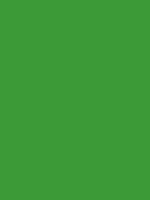 Shop Savage Widetone Seamless Background Paper (Tech Green, 107" x 36') by Savage at B&C Camera
