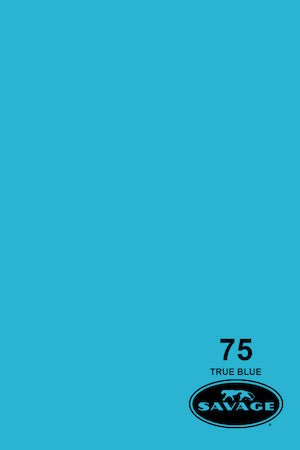 Shop Savage Widetone Seamless Background Paper (True Blue, 86” x 12yds) by Savage at B&C Camera