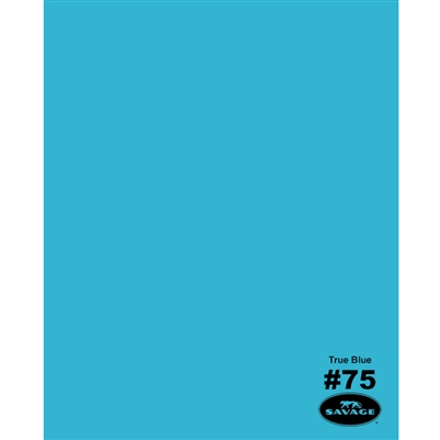 Shop Savage Widetone Seamless Background Paper (True Blue, 86” x 12yds) by Savage at B&C Camera