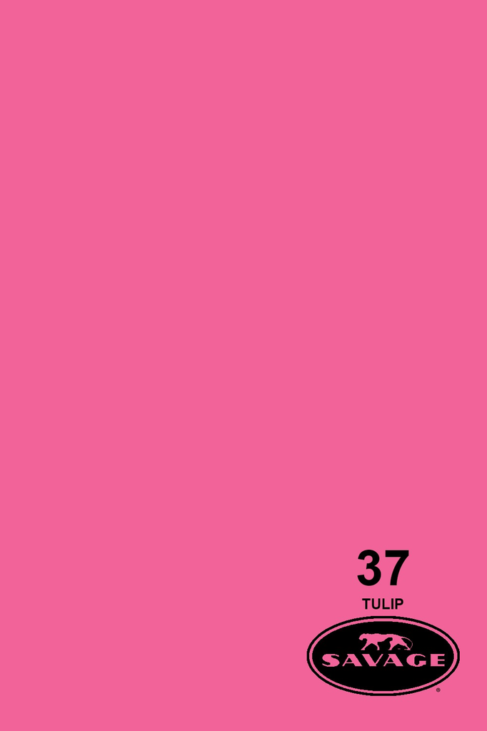 Shop Savage Widetone Seamless Background Paper (Tulip, 107”x36”) by Savage at B&C Camera