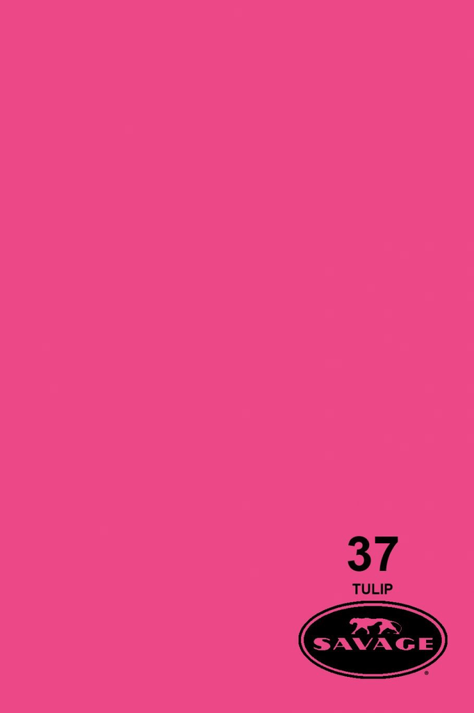 Shop Savage Widetone Seamless Background Paper (Tulip 86” x 12yd) by Savage at B&C Camera