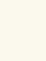 Shop Savage Widetone Seamless Background Paper (White, 53" x 36) by Savage at B&C Camera
