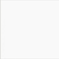 Shop Savage Widetone Seamless Background Paper (White, 53" x 36) by Savage at B&C Camera