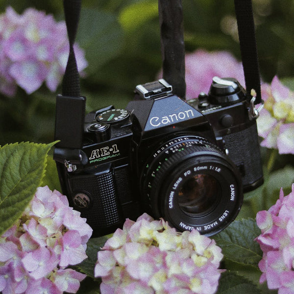 Canon AE-1 Program  35mm Vintage Film Camera