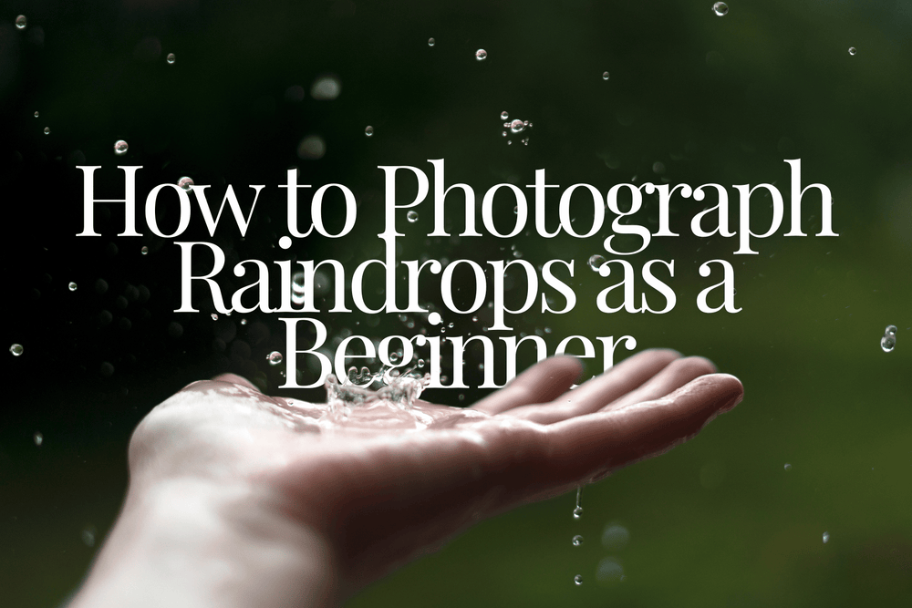 Capturing Rain: How to Photograph Raindrops as a Beginner