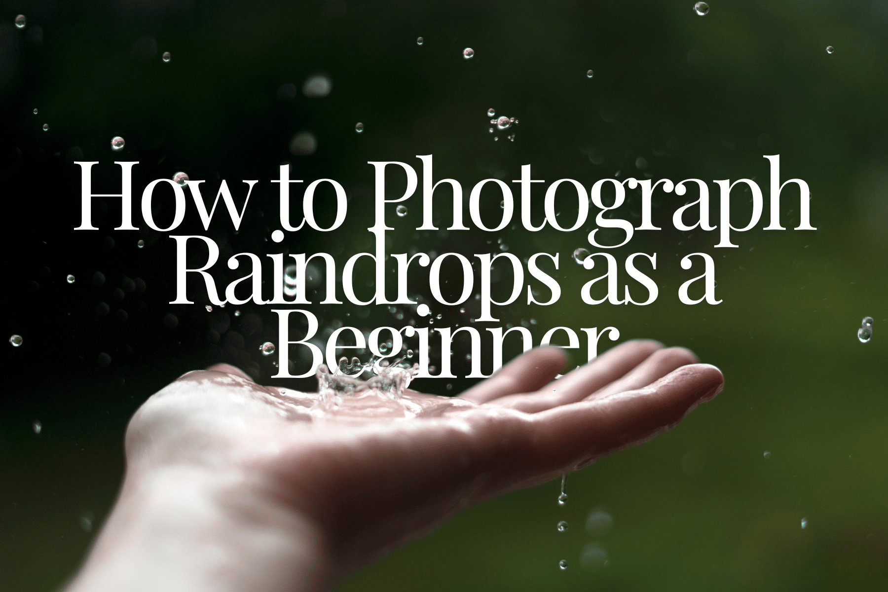 Capturing Rain: How to Photograph Raindrops as a Beginner - B&C Camera