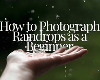 Capturing Rain: How to Photograph Raindrops as a Beginner - B&C Camera