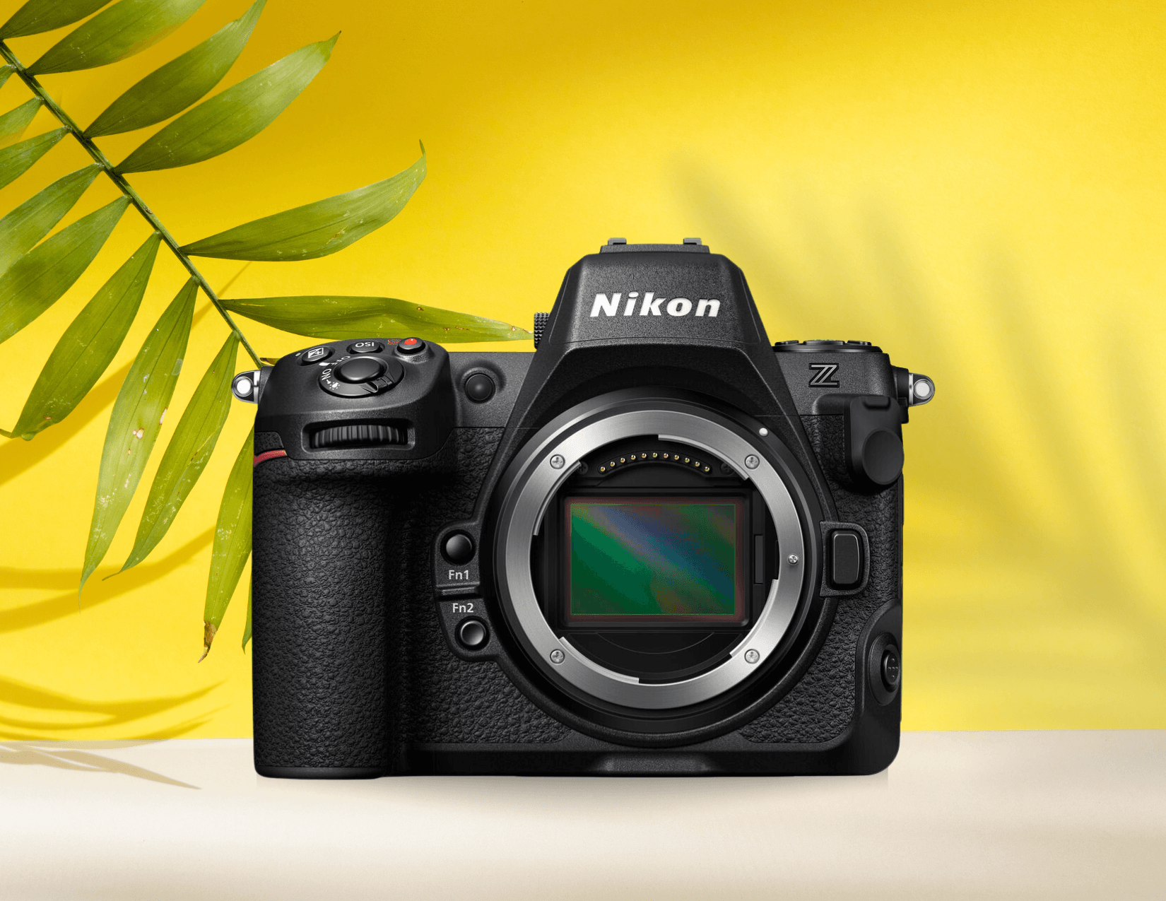 Nikon Z8 Review - B&C Camera