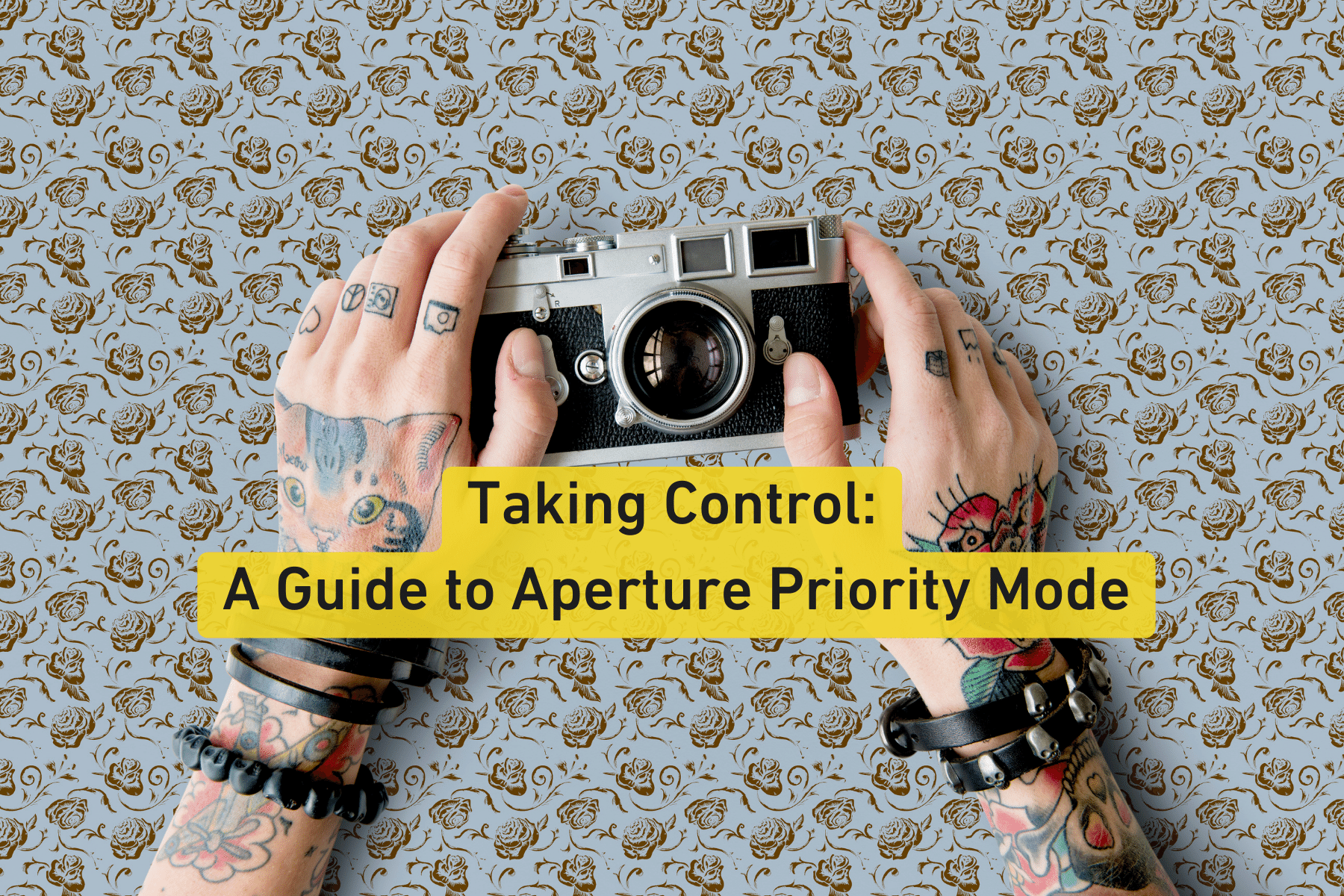 Taking Control: A Guide to Aperture Priority Mode - B&C Camera