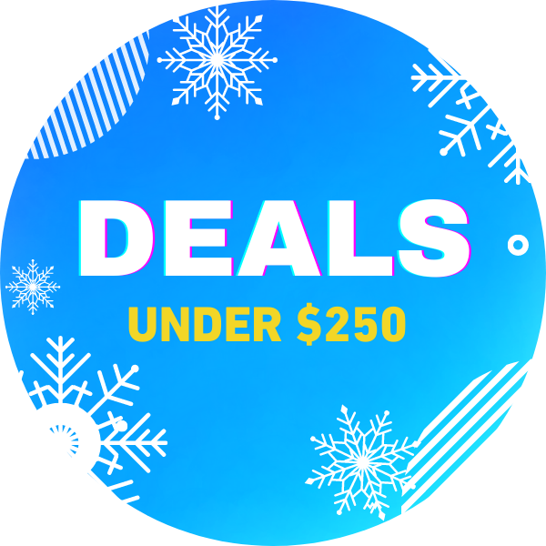 Holiday Sale deals under $250