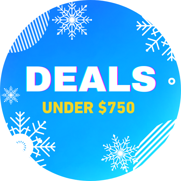 Holiday Sale deals under $750
