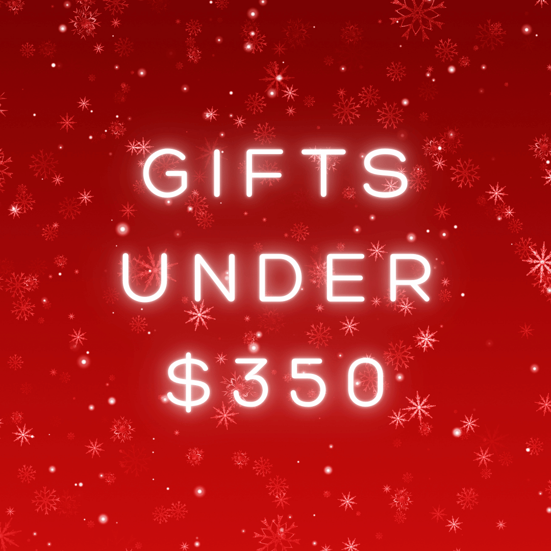 Gifts under $350