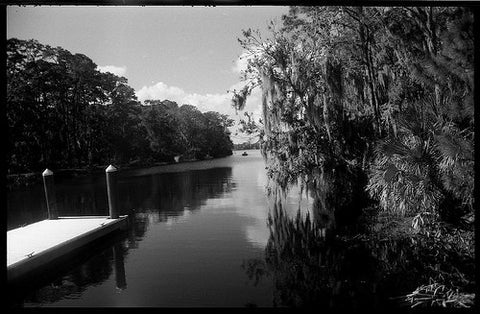 Film Photography Project Svema Foto 200 Black & White Film - ISO 200 (35mm) (24 Exposures) (1 Roll)
