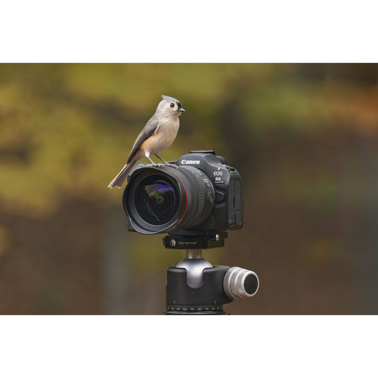 Canon R6 Mark III Mirrorless Camera