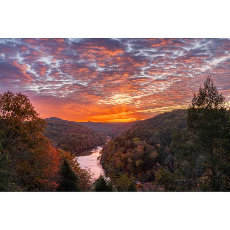 Canon R6 Mark III Mirrorless Camera