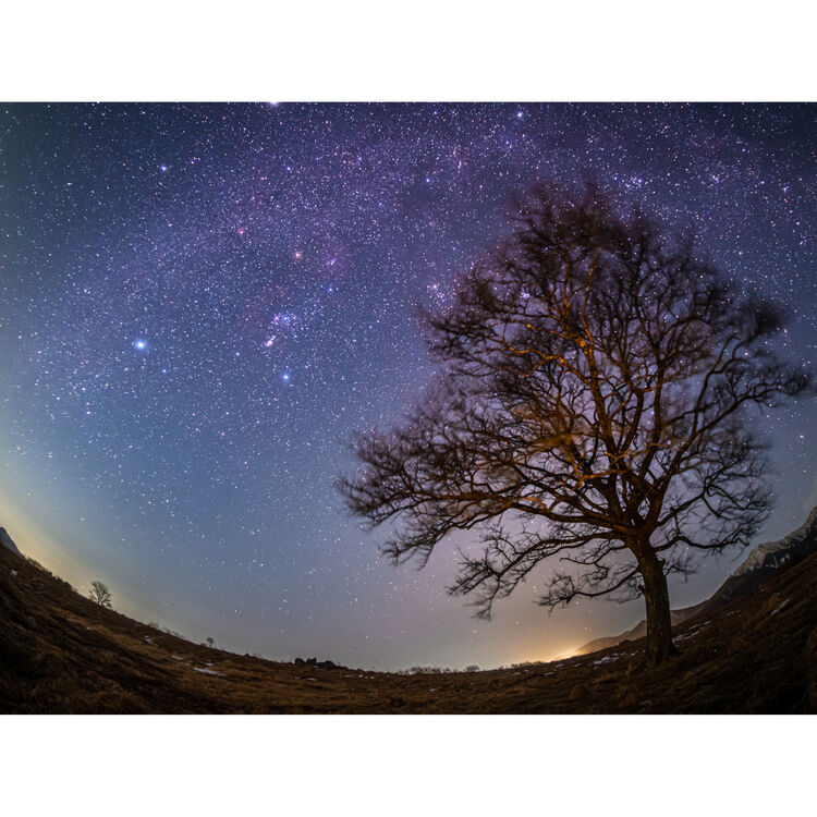 Shop OM System OM-3 Astro Body by OM System at B&C Camera