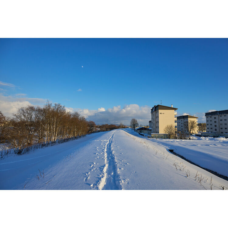 Sigma 15mm f/1.4 DC Contemporary Lens