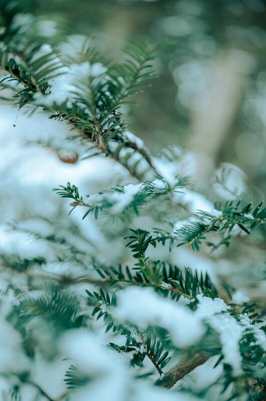 Sigma 35mm F1.2 DG II Art for Sony E Mount