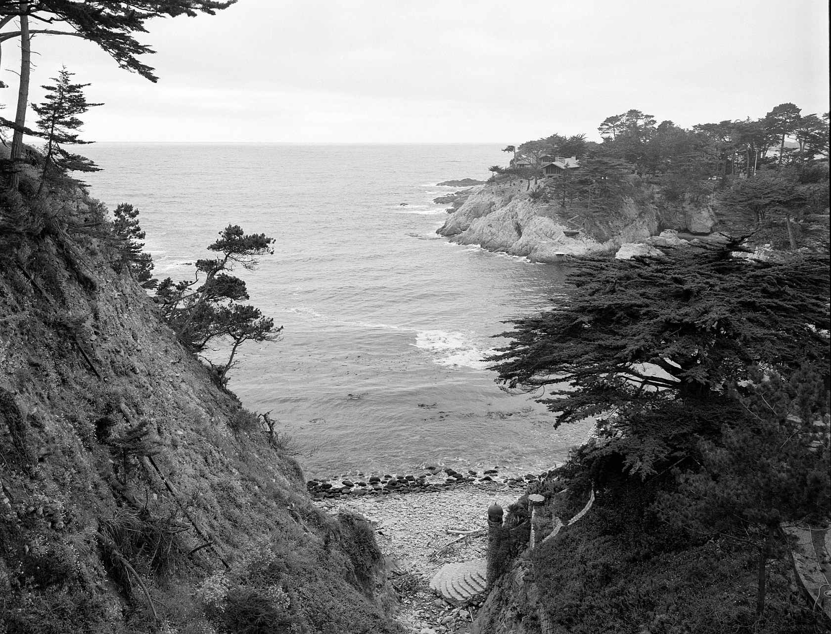 Kodak Eastman Ektapan 400 Black and White Negative Film (35mm Roll Film, 36 Exposures)