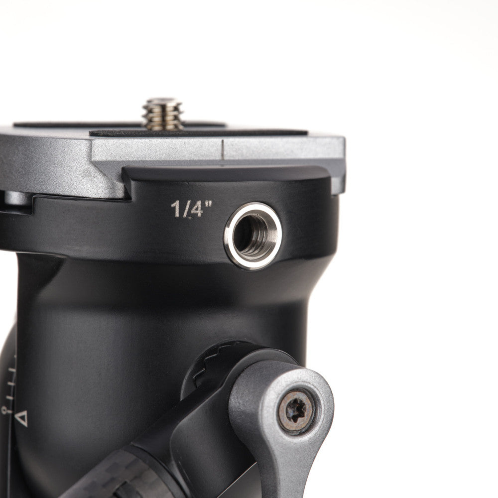 Benro AD2 AeroDrop 2-Way Head