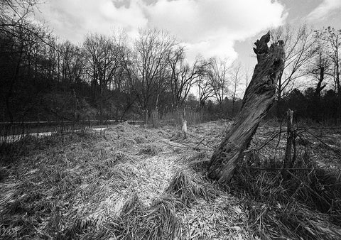 Film Photography Project Svema Foto 200 Black & White Film - ISO 200 (35mm) (24 Exposures) (1 Roll)