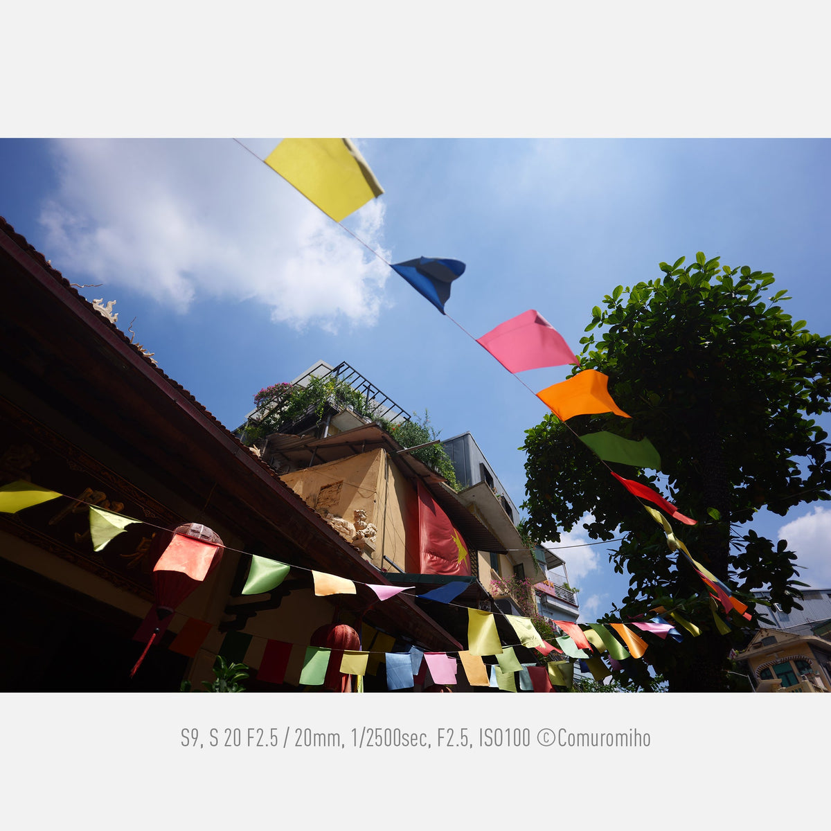 Panasonic LUMIX S series 20mm F2.5 Lens