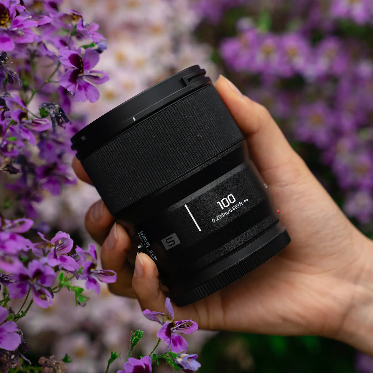 Panasonic Lumix S 100mm f/2.8 Macro Lens (Leica L)