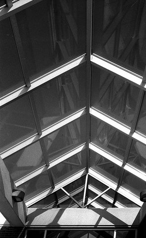 Film Photography Project Svema Foto 100 Black & White Film - ISO 100 (35mm) (24 Exposures)