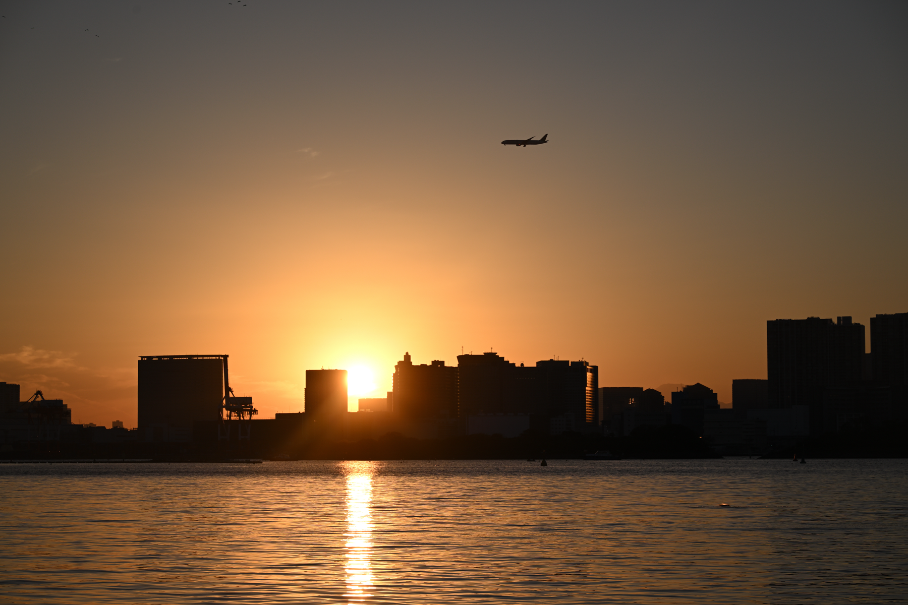 Nikon NIKKOR Z 24-105mm f/4-7.1 Lens