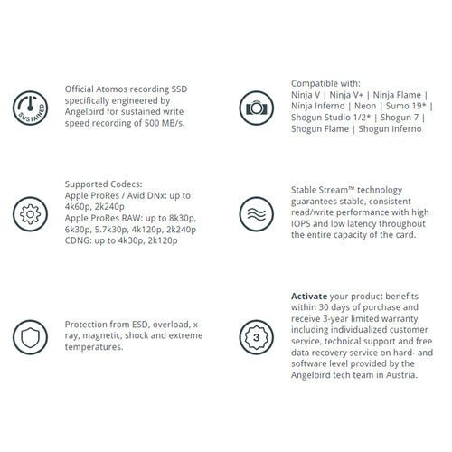 Angelbird 1TB AtomX SSDmini - B&C Camera