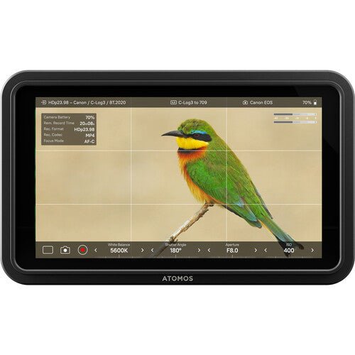 Atomos Shinobi II 5.2" HDMI HDR Monitor - B&C Camera