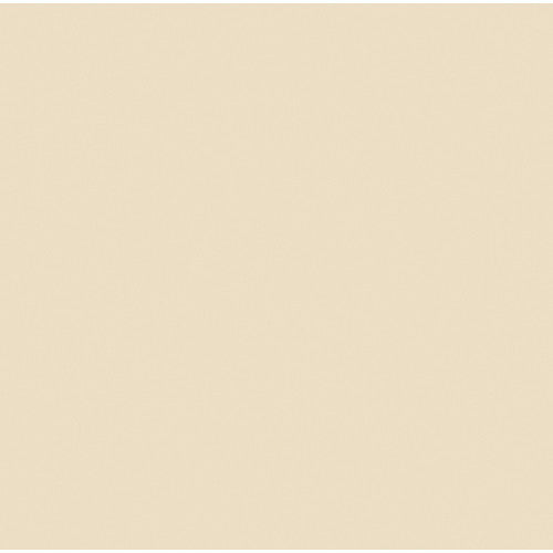 Rosco Cinegel Filter #3409 RoscoSun 1/4 CTO (20 x 24" Sheet)