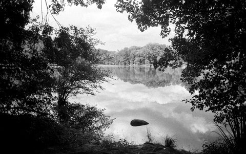 Film Photography Project Svema FN64 Black & White ISO 64 Film (35mm) (24 Exposures) (1 Roll)