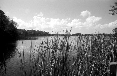 Film Photography Project Svema Foto 200 Black & White Film - ISO 200 (35mm) (24 Exposures) (1 Roll)