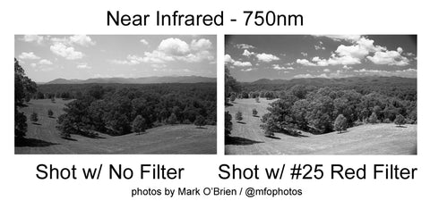 Film Photography Project Svema Foto 100 Black & White Film - ISO 100 (35mm) (24 Exposures)