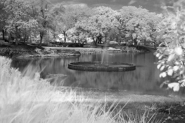 Film Photography Project 35mm Infrared Film FPP BW IR (1 Roll