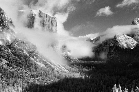 Film Photography Project 35mm Infrared Film - FPP BW IR (1 Roll) - B&C Camera