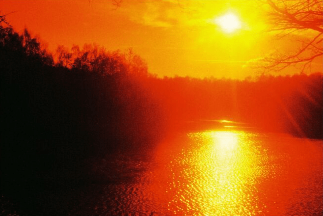 HARMAN RED 125 Redscale Film (35mm Roll Film, 36 Exposures) - B&C Camera