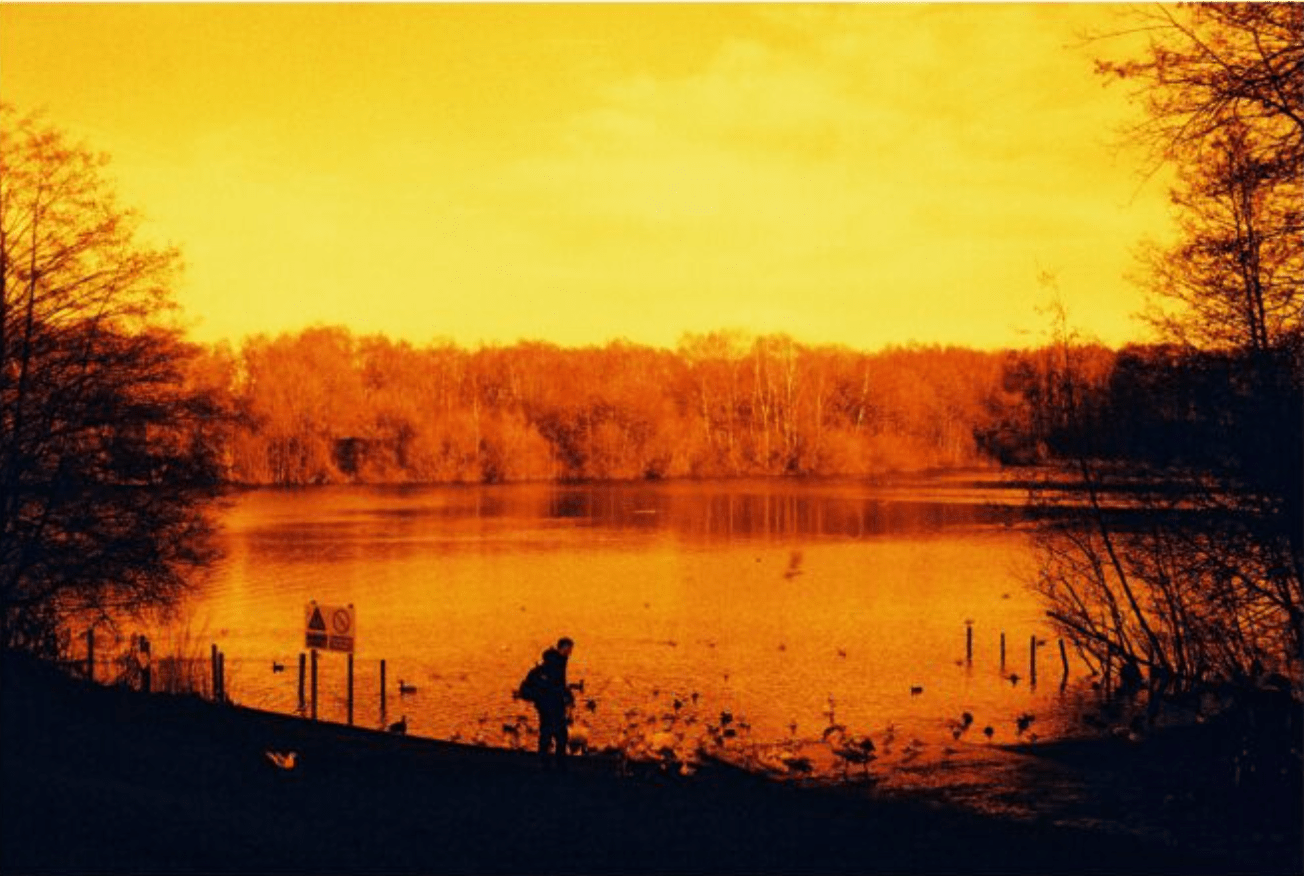 HARMAN RED 125 Redscale Film (35mm Roll Film, 36 Exposures) - B&C Camera